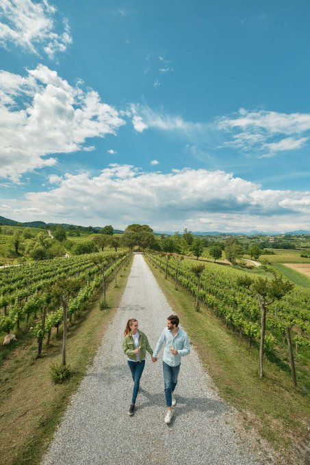 Lifestyle and Commercial Photography in Italy - Photograph Portfolio by Alessandro Michelazzi Studio shot with vineyard Italian landscape