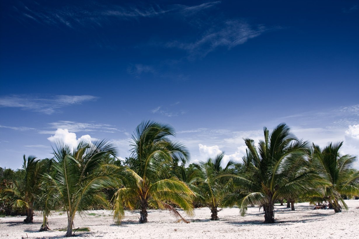 cuba-new-photo-redeveloped-from-canon-40-d-15