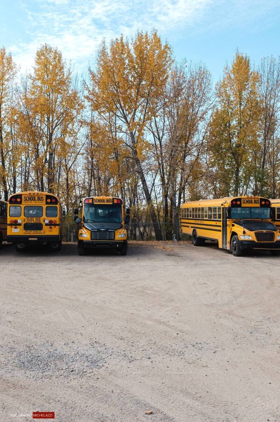 Yellow buses in Calgary, Canada