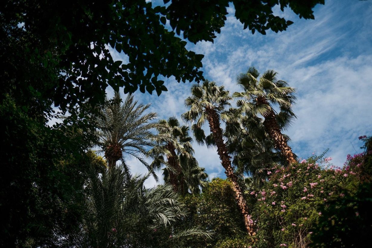marrakech majorelle garden