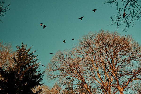 Winter in Trieste, Italy | Digital photo | Fujifilm Classic Negative Film simulation