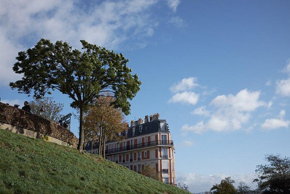 | Digital photo | Fujifilm File