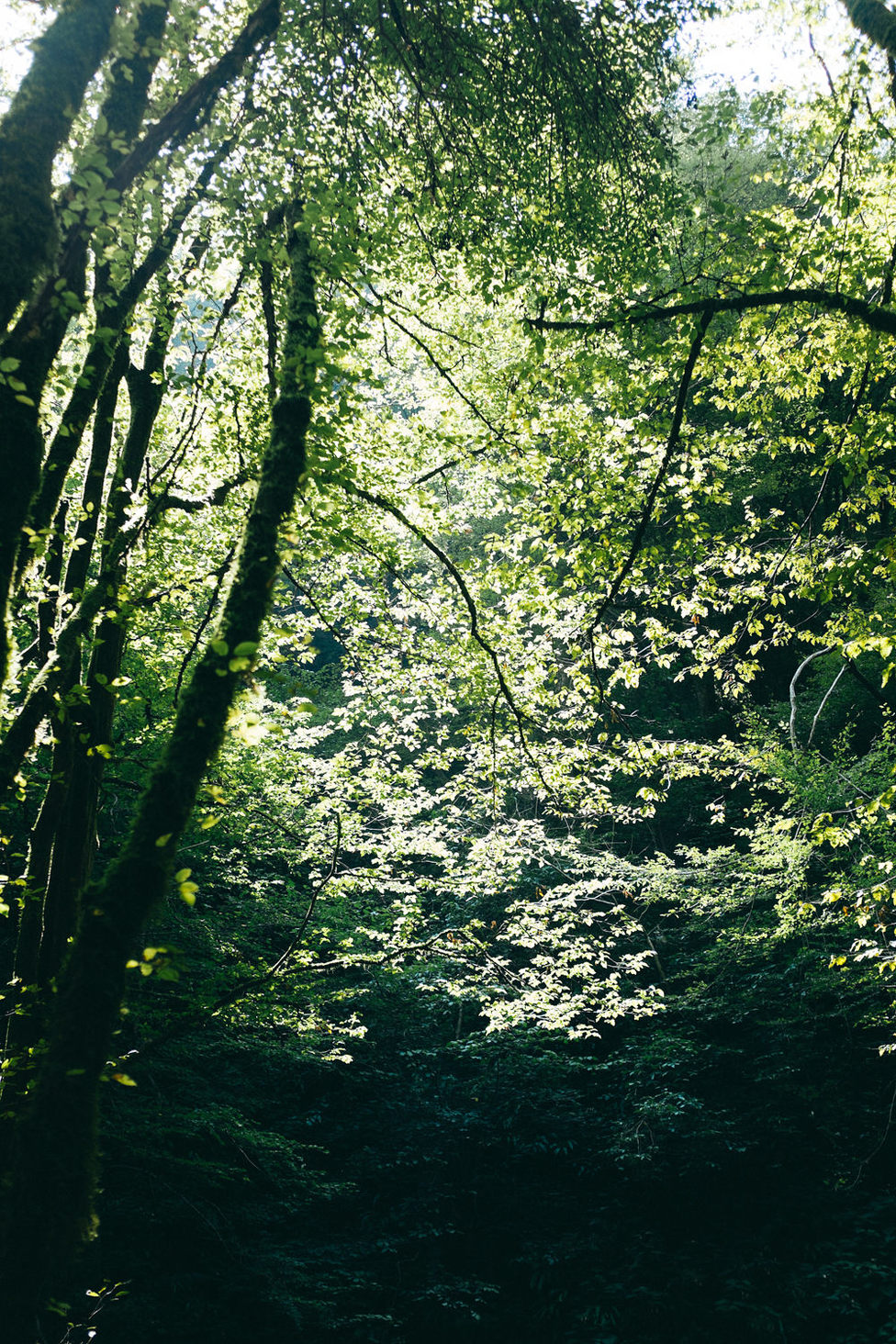 alessandro-michelazzi-photography-Slovenia-13