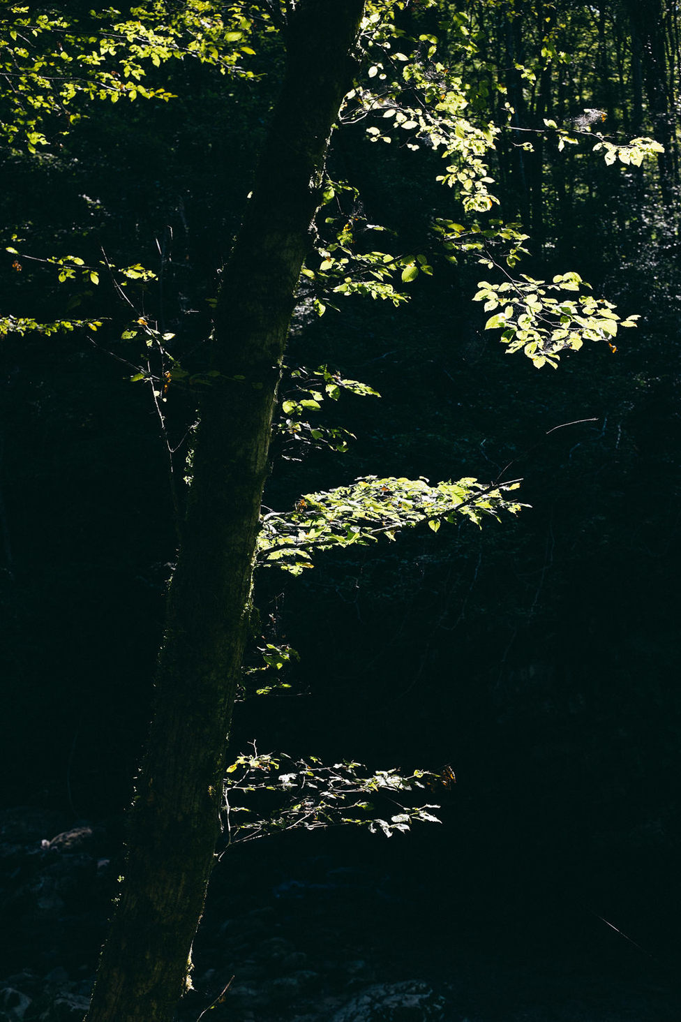 alessandro-michelazzi-photography-Slovenia-18