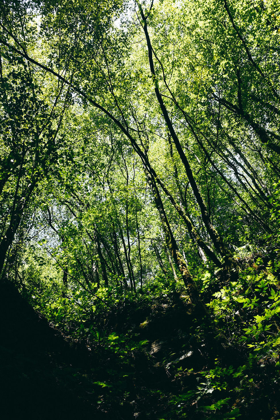 alessandro-michelazzi-photography-Slovenia-19