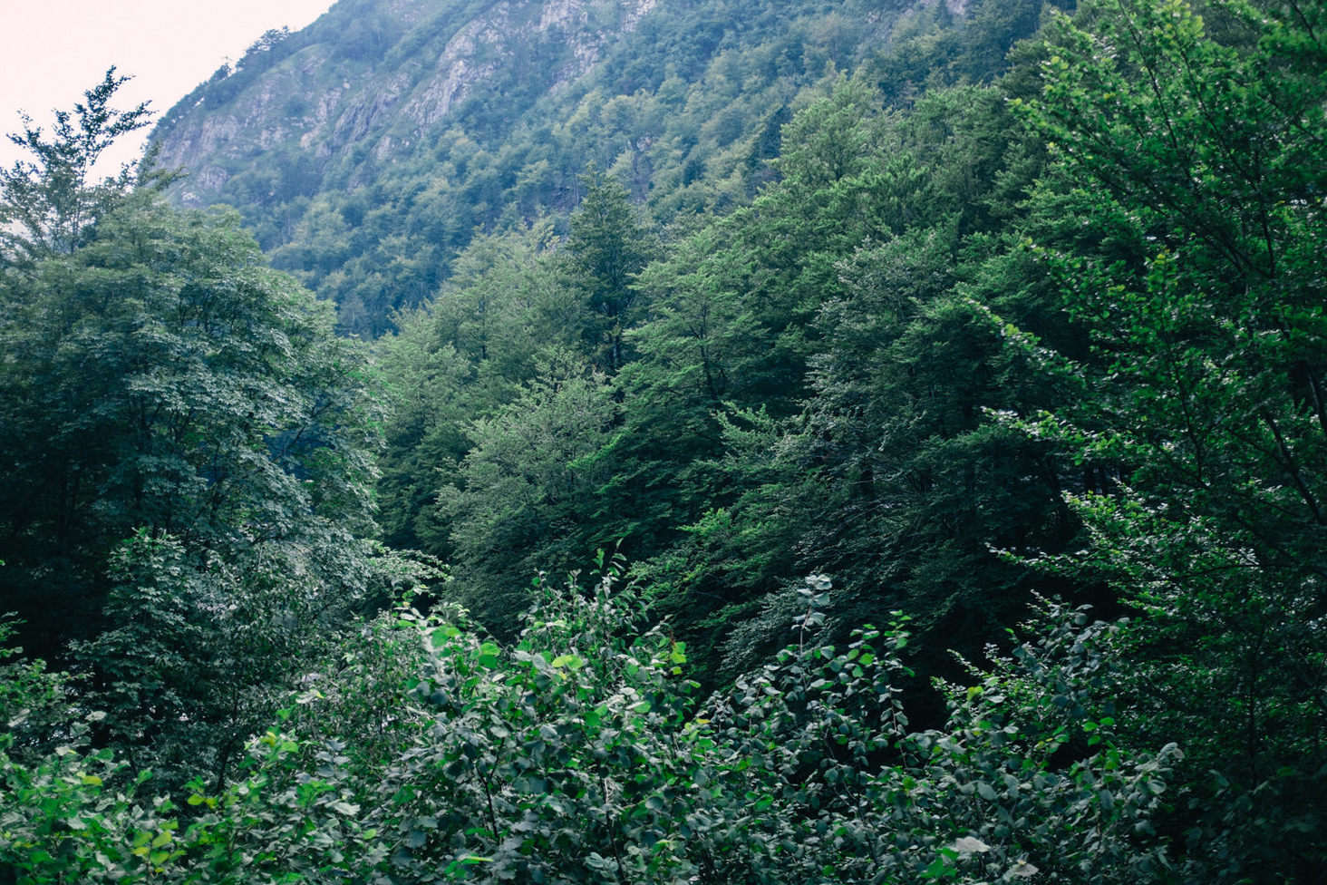 alessandro-michelazzi-photography-Slovenia-5