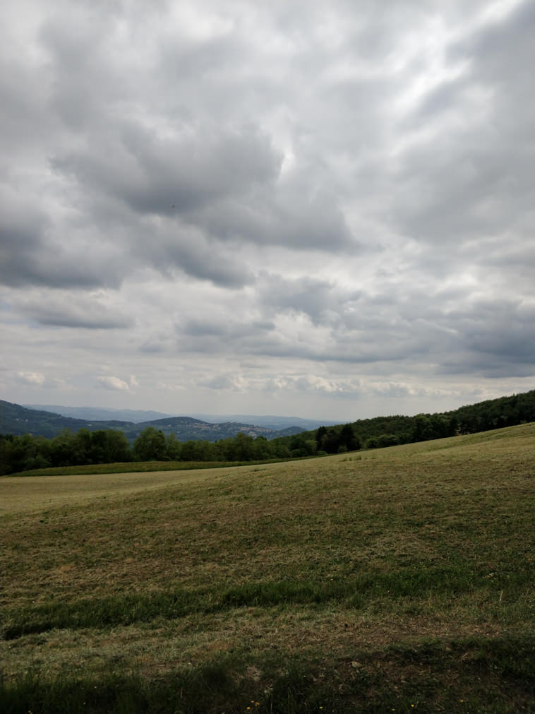 One Plus 5 photo review One Plus 5 photo review