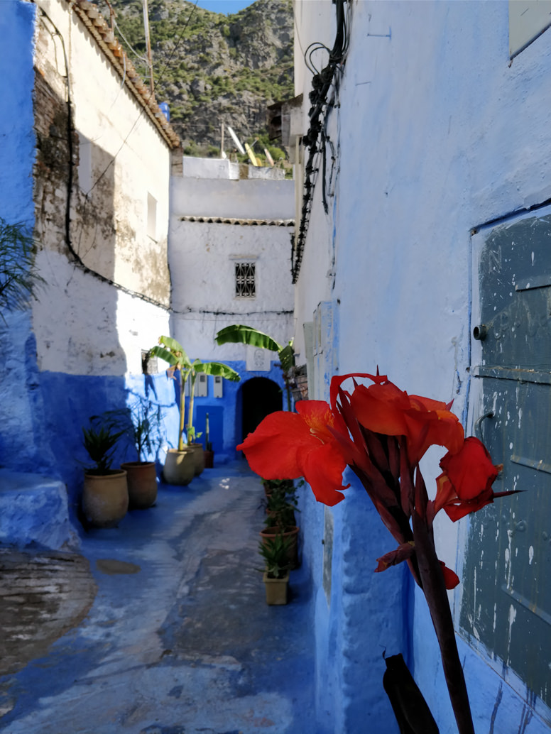 alessandro michelazzi color photography OnePlus 5T alessandro michelazzi color photography OnePlus 5T