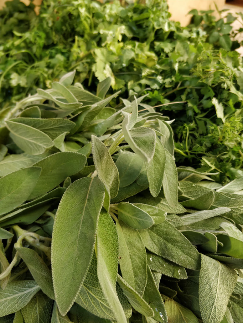 one-plus-5t-photo-preview-27