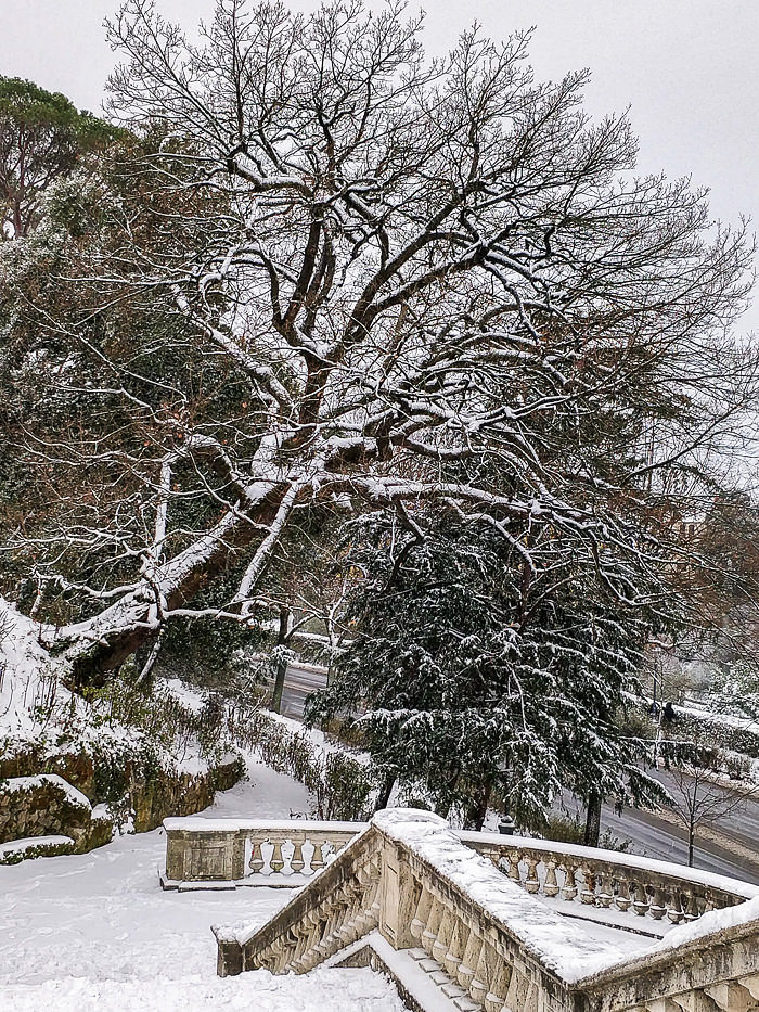 Florence under the snow photo reportage with OnePlus 5t Florence under the snow photo reportage with OnePlus 5t